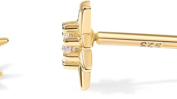 PAVOI 14K Gold Plated Flat Back Earrings | Solid 925 Sterling Silver Posts | Helix Cartilage Earrings for Women | Cubic Zirconia Stud Earrings | Trending Fashion Jewelry